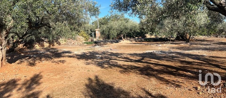 Terreno de 20.000 m² en Aldover (43591)