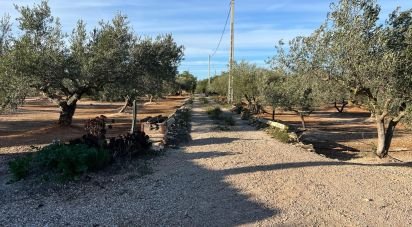 Terreno de 20.000 m² en Aldover (43591)