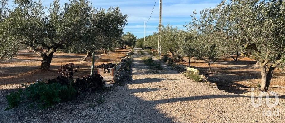 Terreno de 20.000 m² en Aldover (43591)