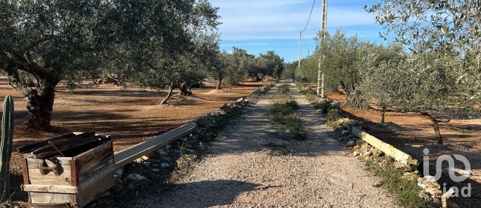 Terreno de 20.000 m² en Aldover (43591)