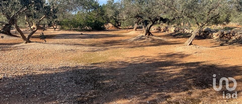 Terreno de 20.000 m² en Aldover (43591)