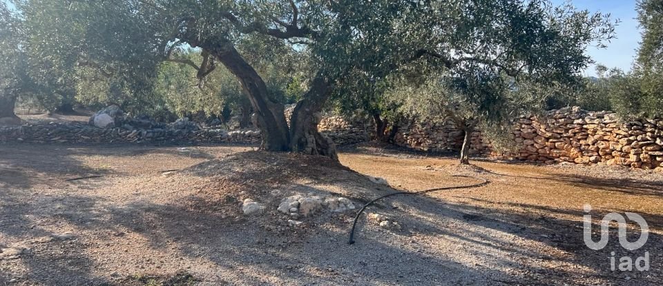 Terreno de 20.000 m² en Aldover (43591)