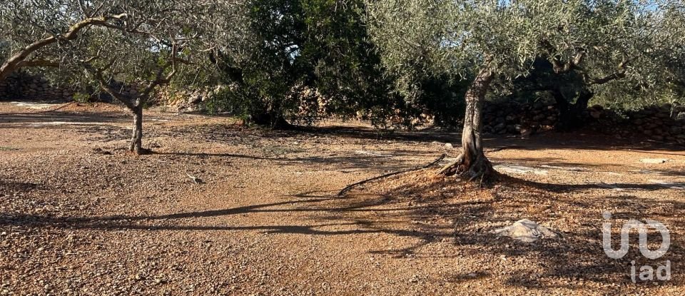 Terreno de 20.000 m² en Aldover (43591)