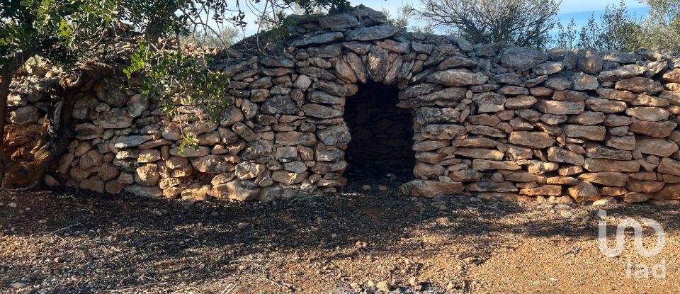 Terreno de 20.000 m² en Aldover (43591)