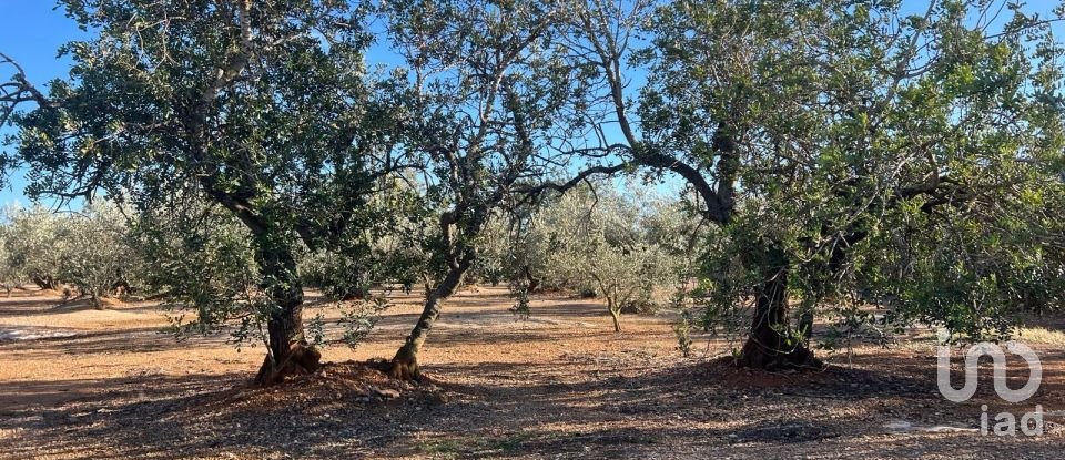 Terreno de 20.000 m² en Aldover (43591)