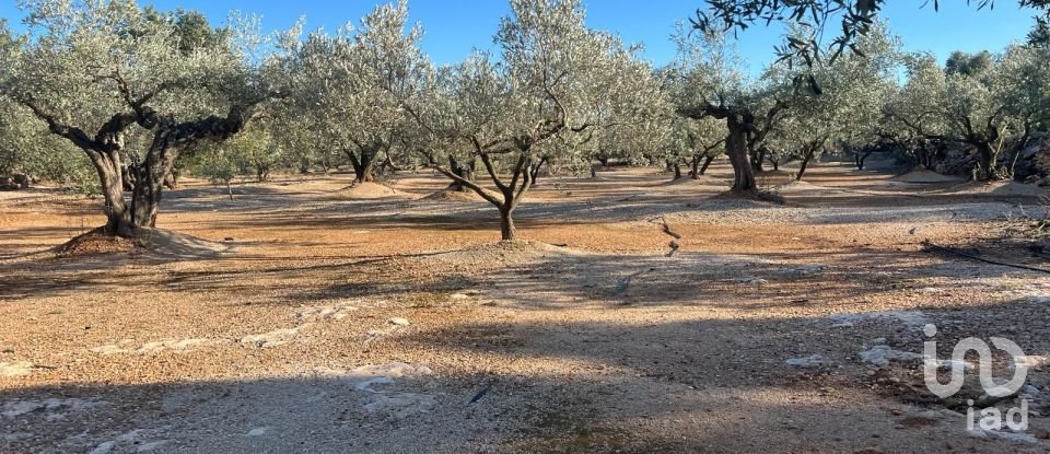 Terreno de 20.000 m² en Aldover (43591)