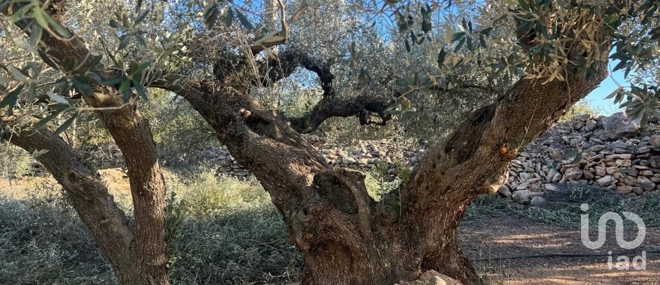 Terreno de 20.000 m² en Aldover (43591)