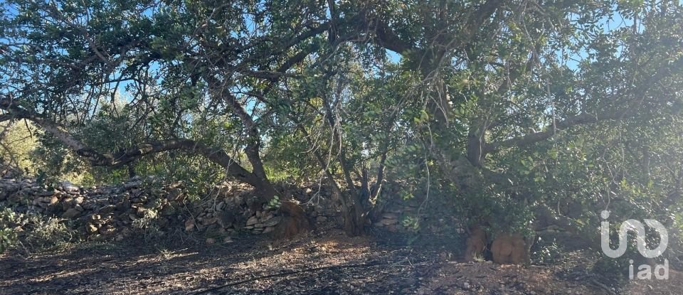 Terreno de 20.000 m² en Aldover (43591)