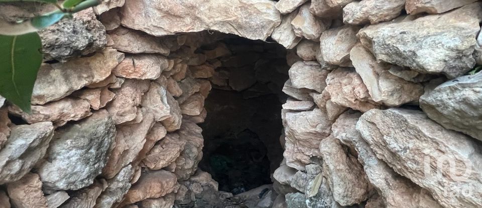 Terreno de 20.000 m² en Aldover (43591)