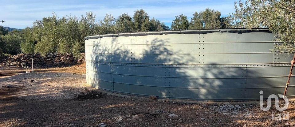 Terreno de 20.000 m² en Aldover (43591)