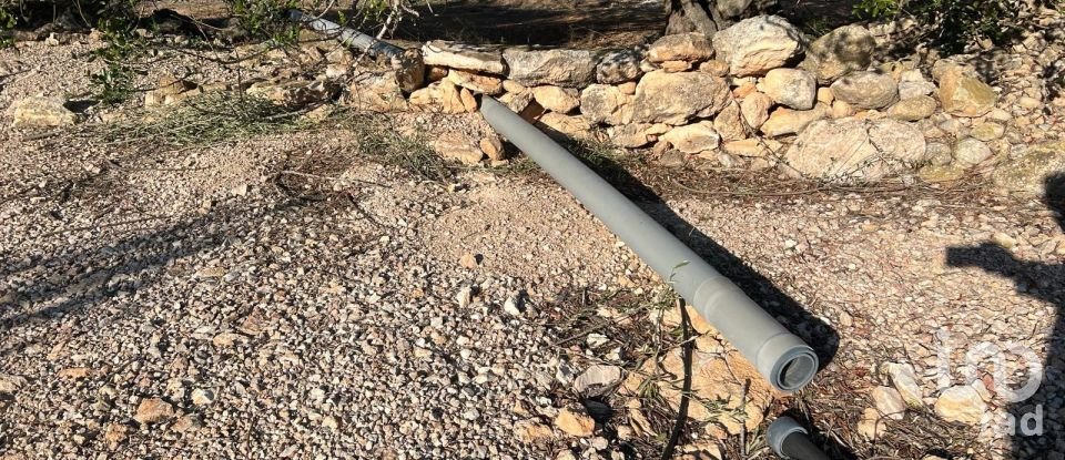 Terreno de 20.000 m² en Aldover (43591)