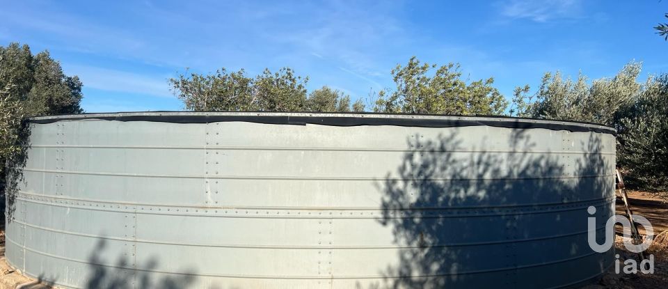 Terreno de 20.000 m² en Aldover (43591)