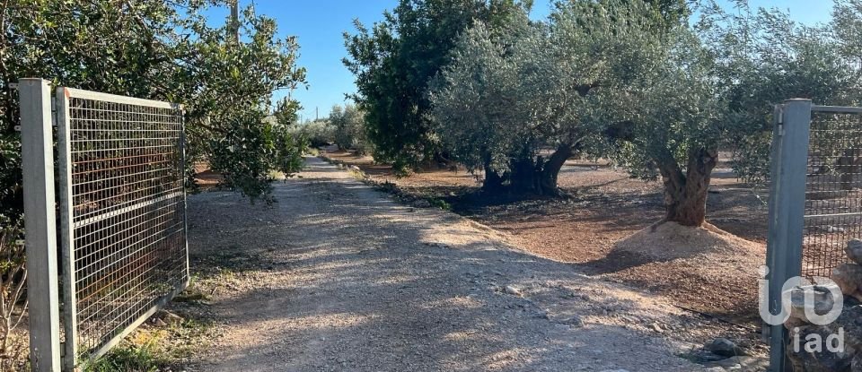 Terreno de 20.000 m² en Aldover (43591)