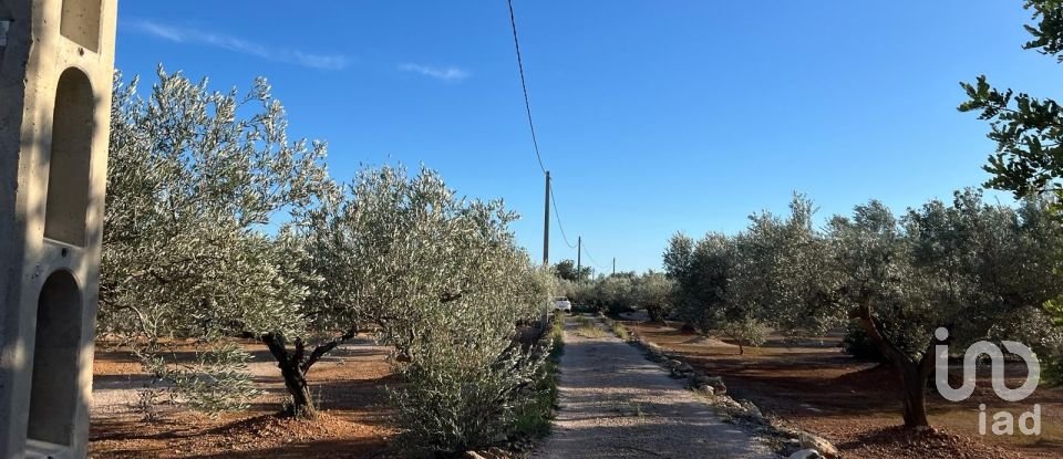 Terreno de 20.000 m² en Aldover (43591)