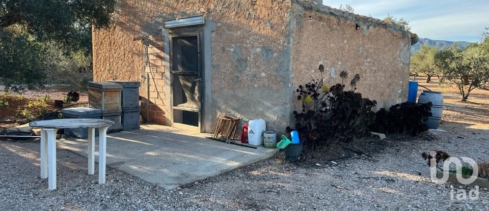 Terreno de 20.000 m² en Aldover (43591)