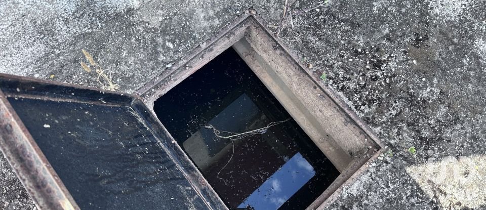 Terreny agrícola de 6.648 m² a Pego (03780)