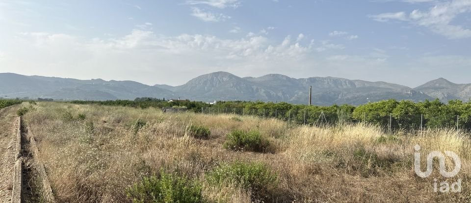 Terreny agrícola de 6.648 m² a Pego (03780)