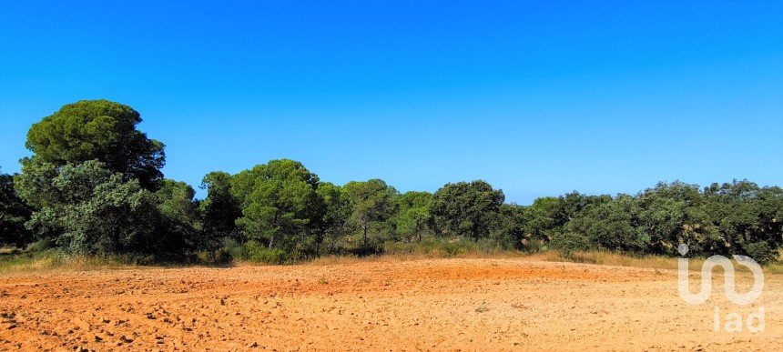 Land of 11,408 m² in Villablanca (21590)