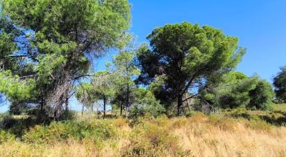 Land of 11,408 m² in Villablanca (21590)