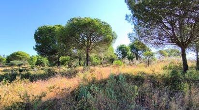 Land of 11,408 m² in Villablanca (21590)