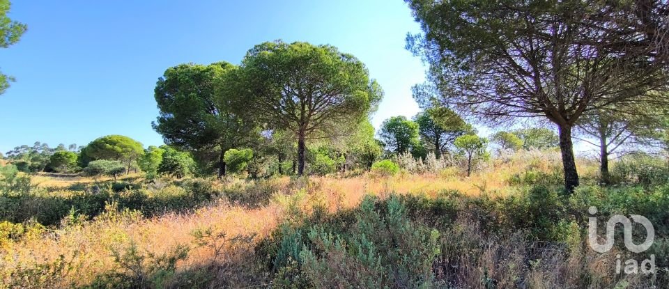 Land of 11,408 m² in Villablanca (21590)