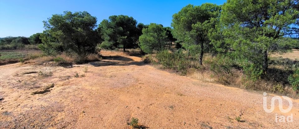 Land of 11,408 m² in Villablanca (21590)