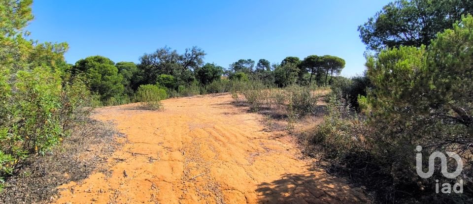 Land of 11,408 m² in Villablanca (21590)