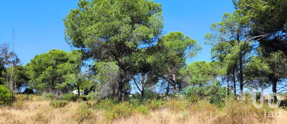 Land of 11,408 m² in Villablanca (21590)