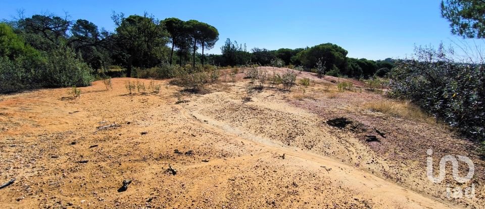 Land of 11,408 m² in Villablanca (21590)