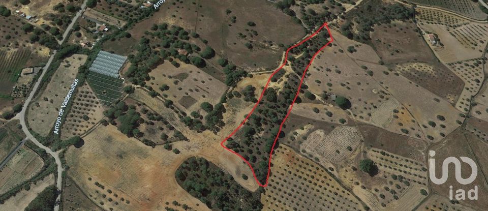 Land of 11,408 m² in Villablanca (21590)