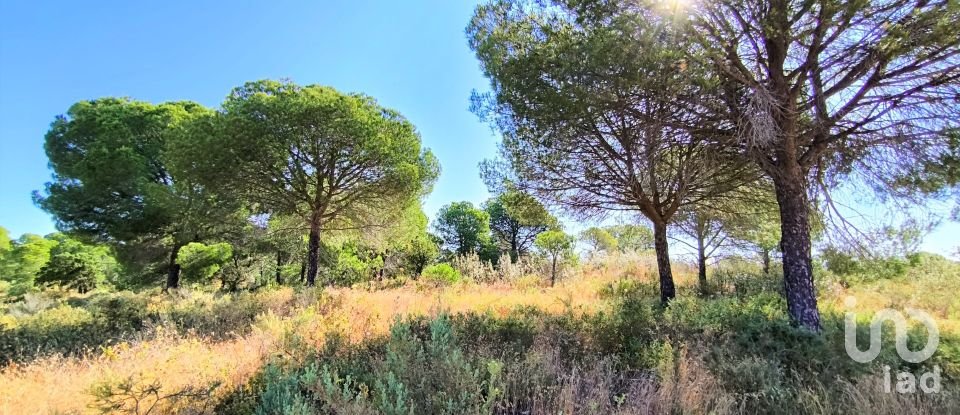 Land of 11,408 m² in Villablanca (21590)