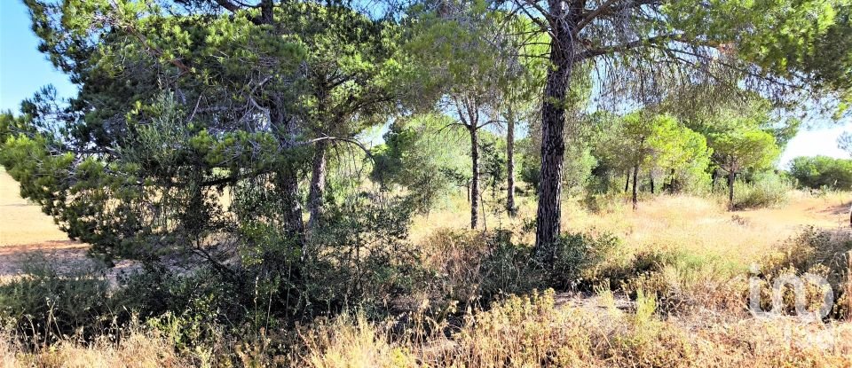 Land of 11,408 m² in Villablanca (21590)