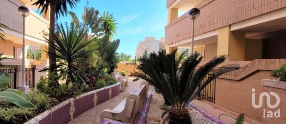 Apartment 2 bedrooms of 56 m² in Oropesa/Oropesa del Mar (12594)