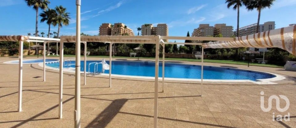 Apartment 2 bedrooms of 56 m² in Oropesa/Oropesa del Mar (12594)