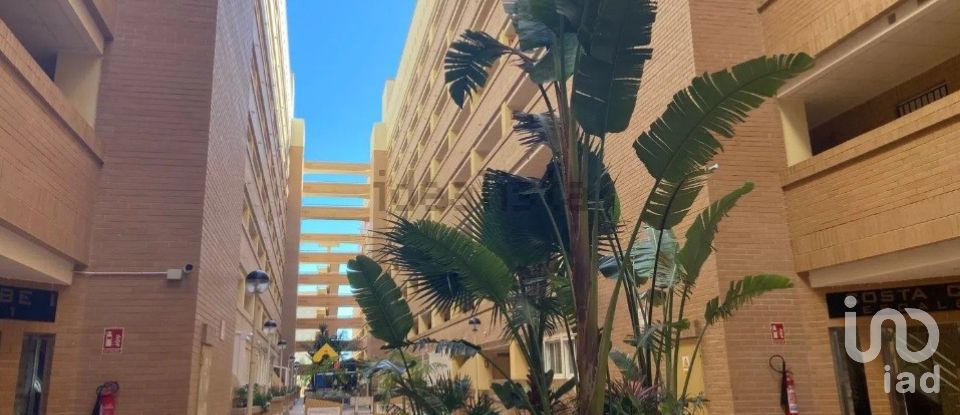 Apartment 2 bedrooms of 56 m² in Oropesa/Oropesa del Mar (12594)