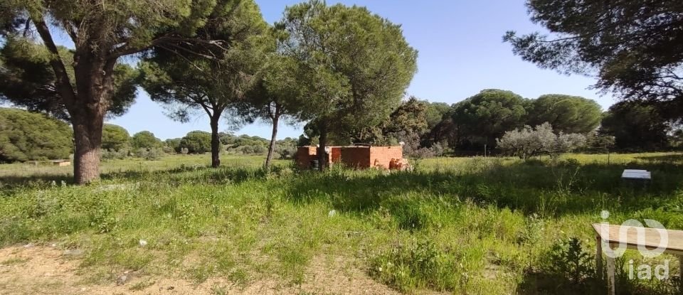 Land of 9,275 m² in Villablanca (21590)