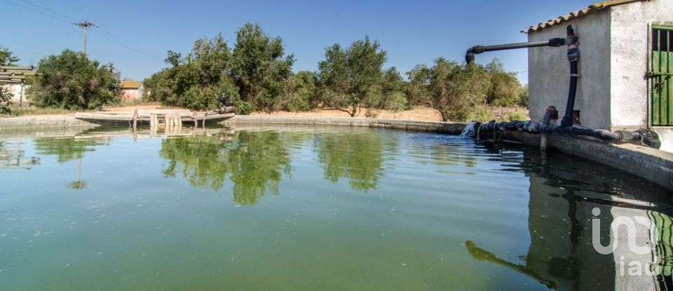 Casa 5 habitaciones de 299 m² en Santa Oliva (43710)