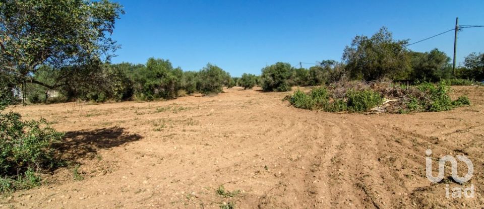 Casa 5 habitaciones de 299 m² en Santa Oliva (43710)