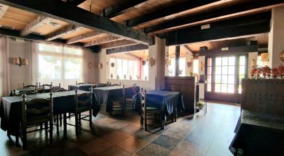Restaurant of 658 m² in Roda de Bara (43883)