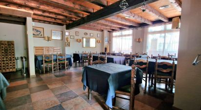 Restaurant of 658 m² in Roda de Bara (43883)
