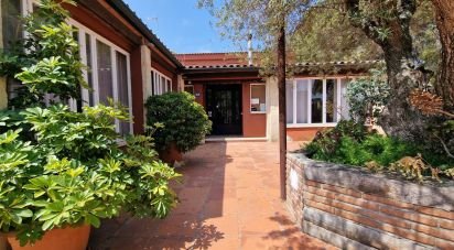 Restaurant of 658 m² in Roda de Bara (43883)