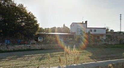 Land of 11,537 m² in Falset (43730)