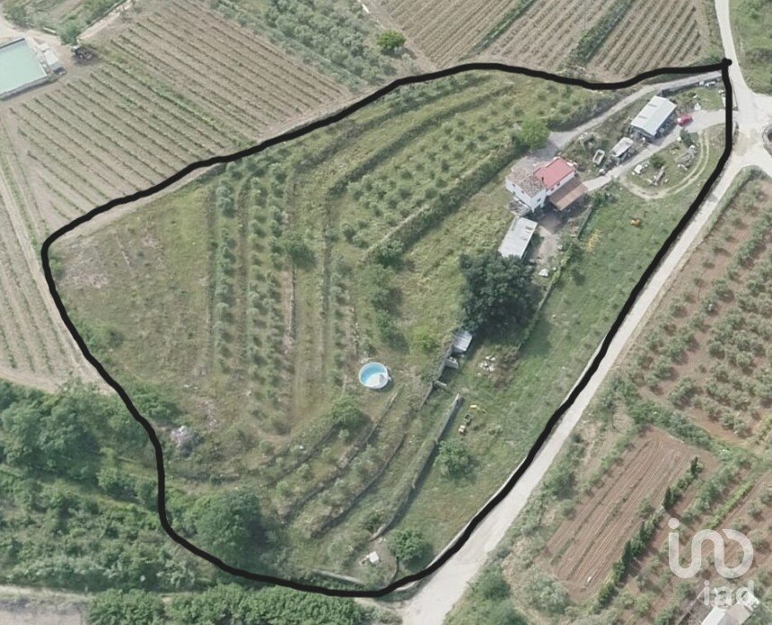 Land of 11,537 m² in Falset (43730)