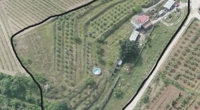 Land of 11,537 m² in Falset (43730)