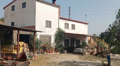 Land of 11,537 m² in Falset (43730)