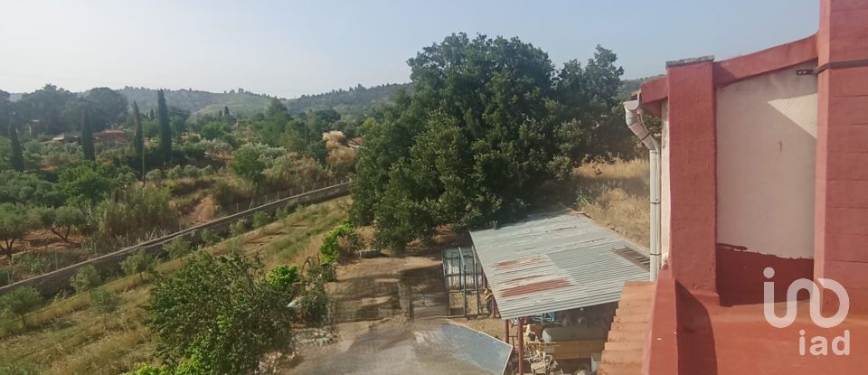 Land of 11,537 m² in Falset (43730)