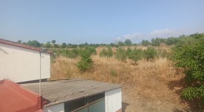 Land of 11,537 m² in Falset (43730)