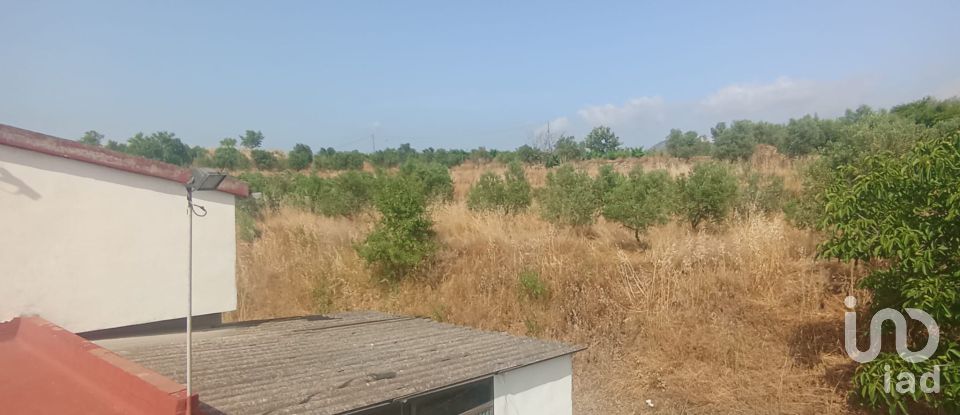 Land of 11,537 m² in Falset (43730)