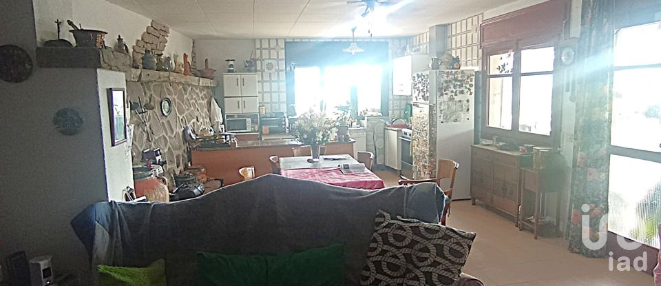 Land of 11,537 m² in Falset (43730)