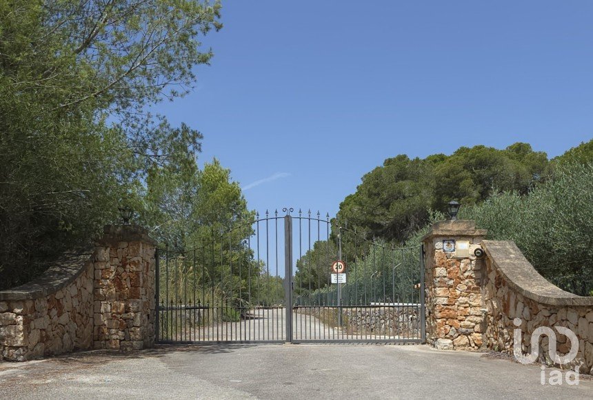 Land of 53,503 m² in Cala Marsal (07670)